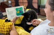 Cat-Friendly Book Sets