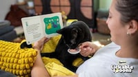 Cat-Friendly Book Sets Image 1