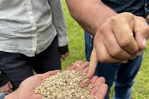 Regenerative Farming-Championing Partnerships Article Thubnail