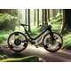 Neo-Urbanite Off-Grid eBikes Image 1