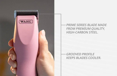 Versatile Pet-Grooming Razors