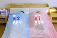 Nocturnal Temperature Control Systems Image 2