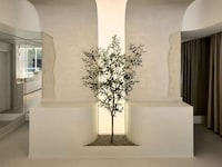 Spa-Like Flagship Stores Image 4