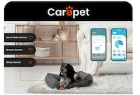 Pet-Monitoring Smart Beds Image 1