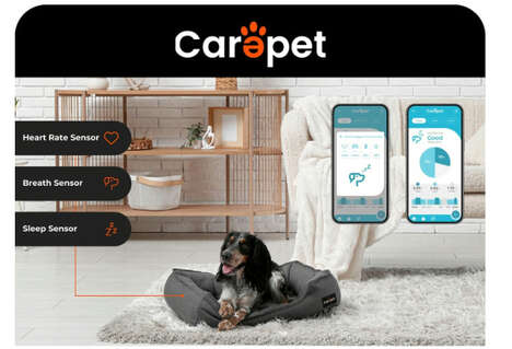 Pet-Monitoring Smart Beds