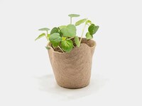 Zero-Waste Seedling Pots Image 8