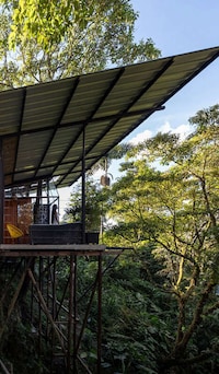 Rainforest Lodged Residences Image 1