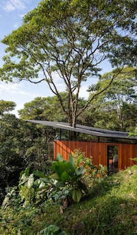 Rainforest Lodged Residences Image 3