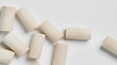 Mycelium Foam Compostable Earplugs Article Thubnail