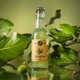 Flavorful Fig Leaf Sodas Image 1