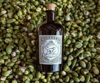 Caper-Infused Gins Image 1