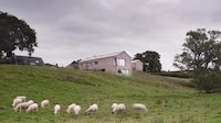 Modern Agricultural Cumbrian Residences Image 3