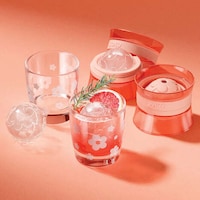 Stylish Ice Molds
