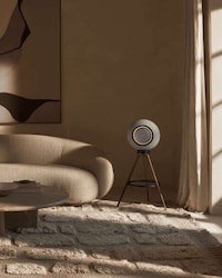 Decor-Friendly Wireless Audio Systems Image 3