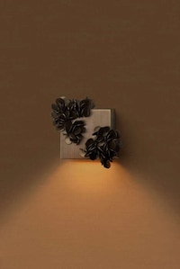Shell-Like Structural Wall Lights Image 1