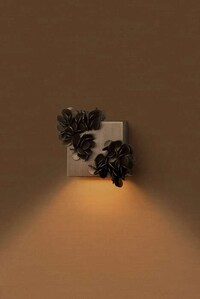 Shell-Like Structural Wall Lights