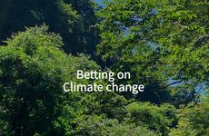 Climate Change Betting Apps