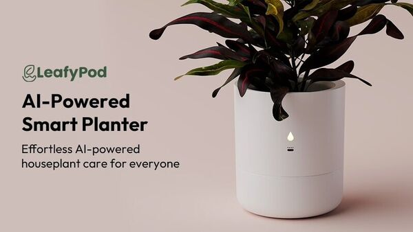 AI-Powered Planters: LeafyPod Provides a Helping Hand with Plant Care ...