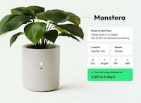 AI-Powered Planters Image 2