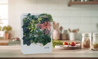 Mini Mess-Free Garden Units Image 1