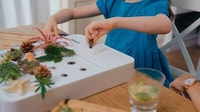 Mini Mess-Free Garden Units Image 5
