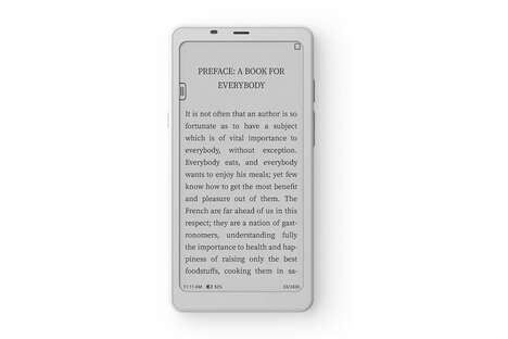 Powerful Handheld eReaders : Boox Palma 2