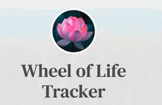 Personal Life Tracking Tools