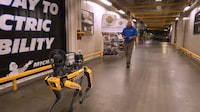 Workplace Robot Trials