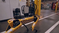 Workplace Robot Trials Image 2