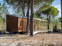 Generously Glazed Compact Homes Image 1