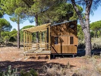Generously Glazed Compact Homes Image 2