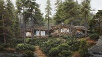 Wooden Surrounded Concrete Homes