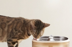 Smart Pet-Focused Fountains