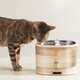 Smart Pet-Focused Fountains Image 1