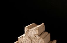 Low-Carbon Biomaterial Bricks