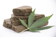 Cannabis-Based Building Materials Article Thubnail