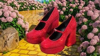 Chic Whimsical-Film Collections Image 2