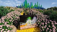 Chic Whimsical-Film Collections Image 3