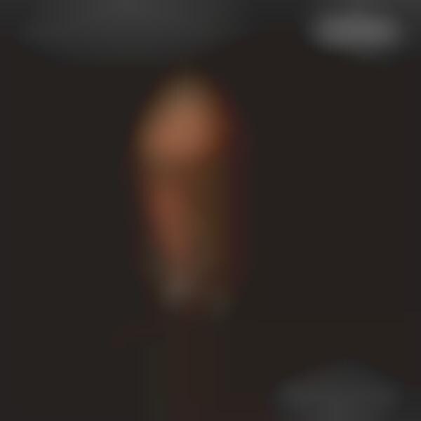 AI Voice Generators