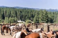 Northern Californian Ranches Image 5