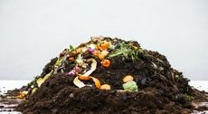 Municipal Composting Programs Article Thubnail