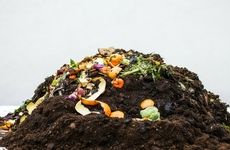 Municipal Composting Programs