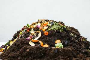 Municipal Composting Programs Article Thubnail