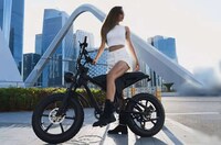 High-Performance All-Terrain eBikes Image 5