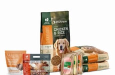 Recyclable Polyethylene-Based Packagings Article Thumbnail