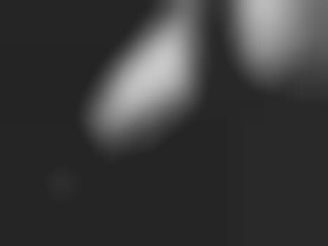 Salvador Surrealist Shoots