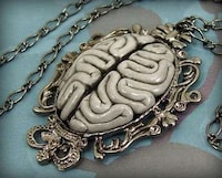 Anatomical Accessories Image 3