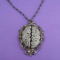Anatomical Accessories Image 5
