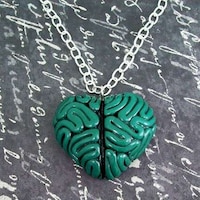 Anatomical Accessories Image 6