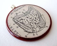 Anatomical Accessories Image 7